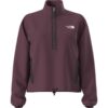 W TNF FLEESKI 1/4 ZIP PO — Bordeaux